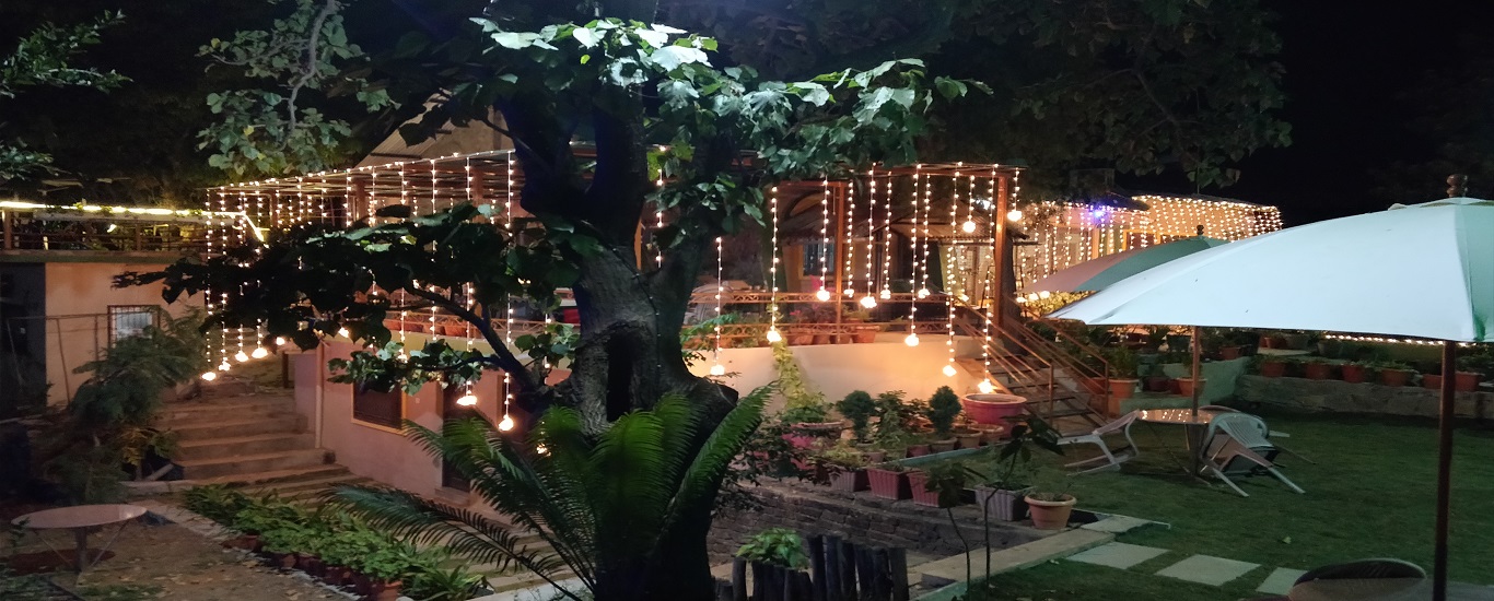 Forest Eco Lodge - Slider1